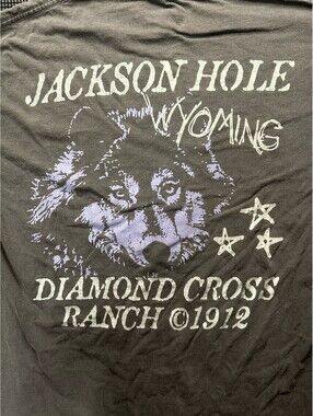 Diamond Cross Ranch 1912 Graphic T Shirt M Gray Purple Gothic Grunge Tee Faded